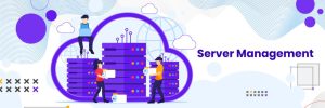 server management services